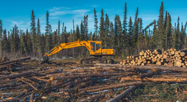 A log-grabbing excavator at work in a clearcut