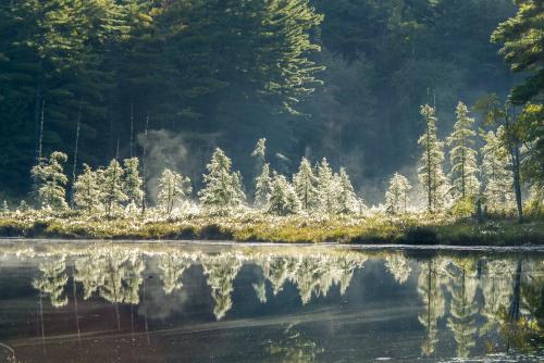 Mist hovers over still water with a forested shore in the background