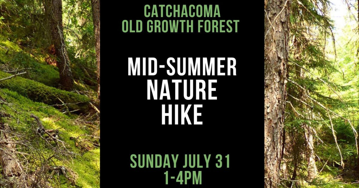 A poster with information about the hike. There are photos of Catchacoma forest in the background. End of image description.