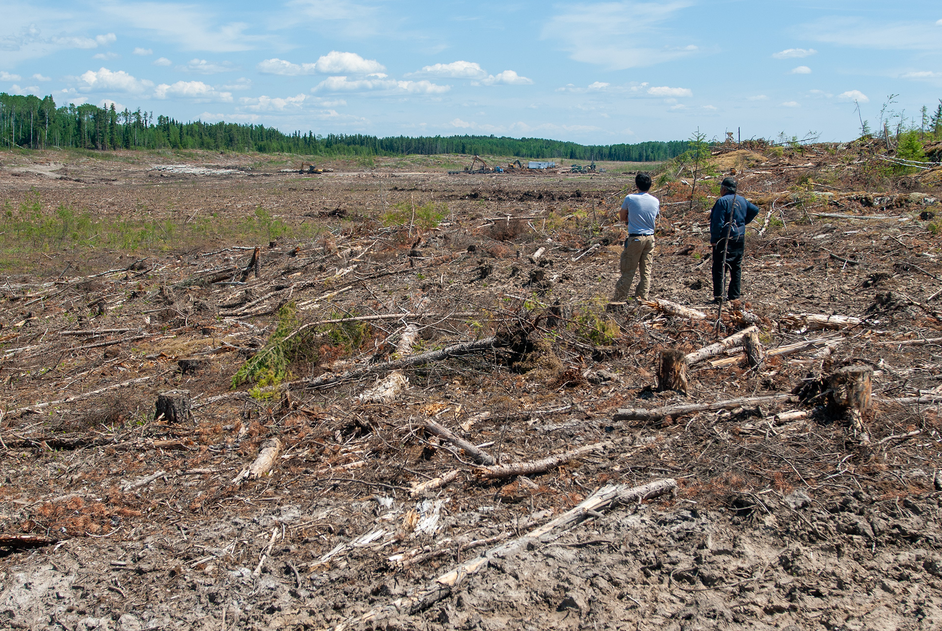 Forest razed before Environment Act licence issued in 2012 in Hollow Water First Nation