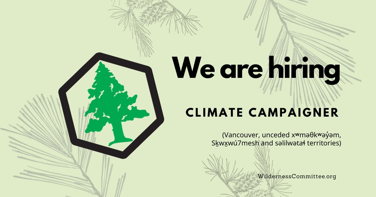 A graphic with leaf overlays and the Wilderness Committee logo. Text on the image says "we are hiring, climate campaigner." End of image description.