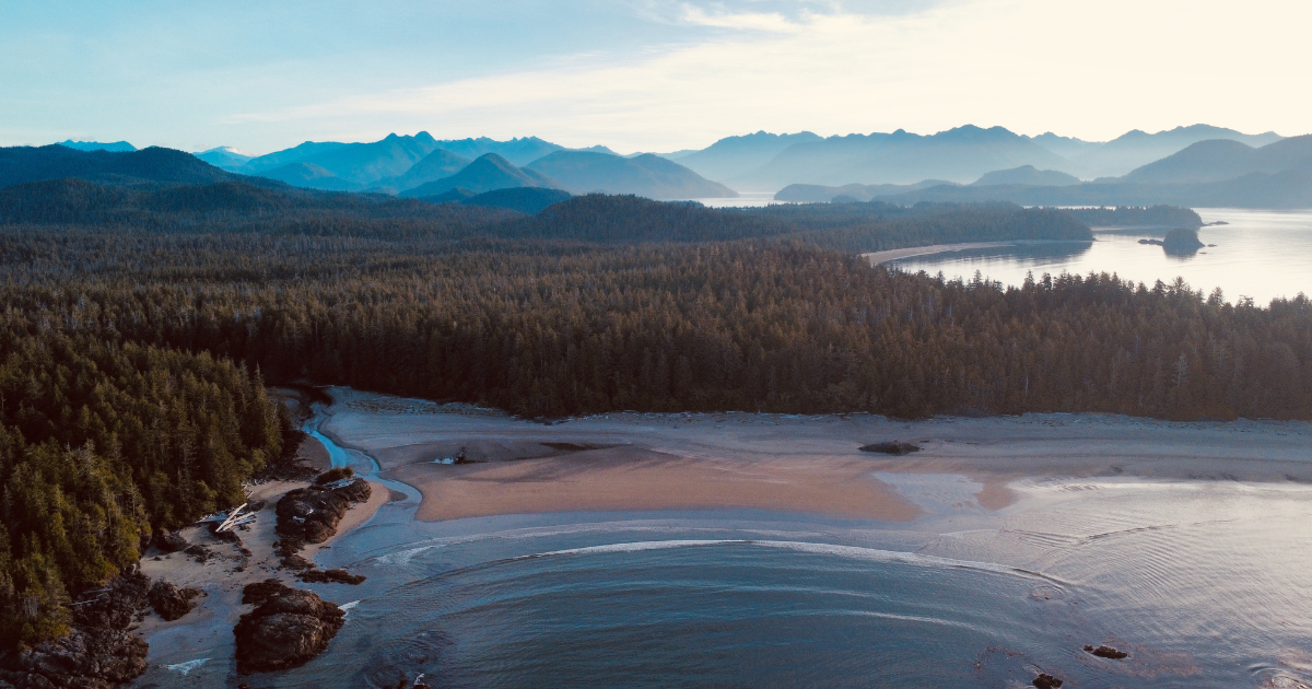 An aerial shot of Clayoquot Sound. End of image description. 