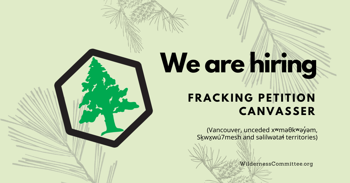A graphic with leaf overlays and the Wilderness Committee logo. Text on the image says "we are hiring, fracking petition canvassers." End of image description.