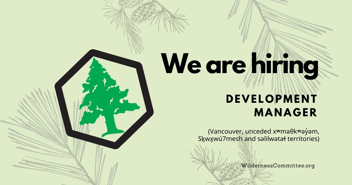 A graphic with leaf overlays and the Wilderness Committee logo. Text on the image says "we are hiring, development manager." End of image description.