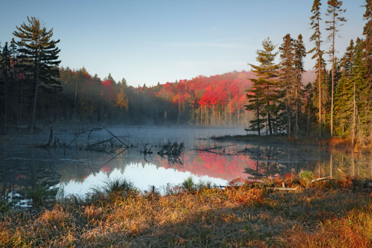 A picture of a lake in fall with trees surrounding it. End of image description.