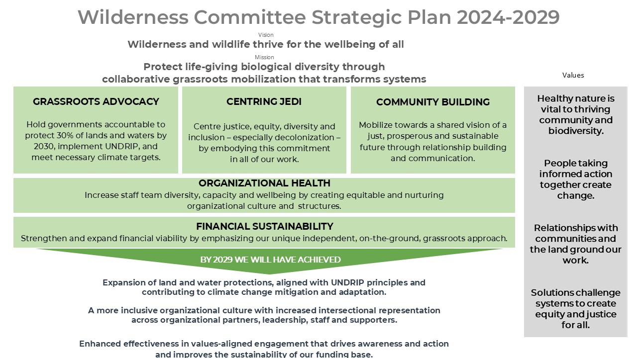 Image of strategic plan 2024-2029