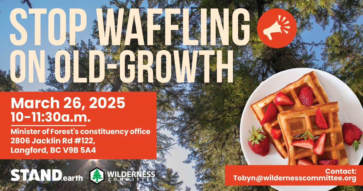 An old-growth forest with a plate of waffles in front. Text on the image says "stop waffling on old-growth." 