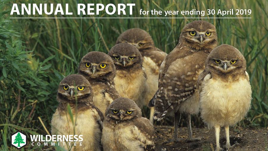 2019 Annual Report Cover