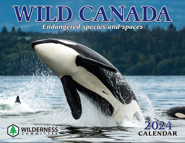 Wilderness Committee 2024 Calendar 