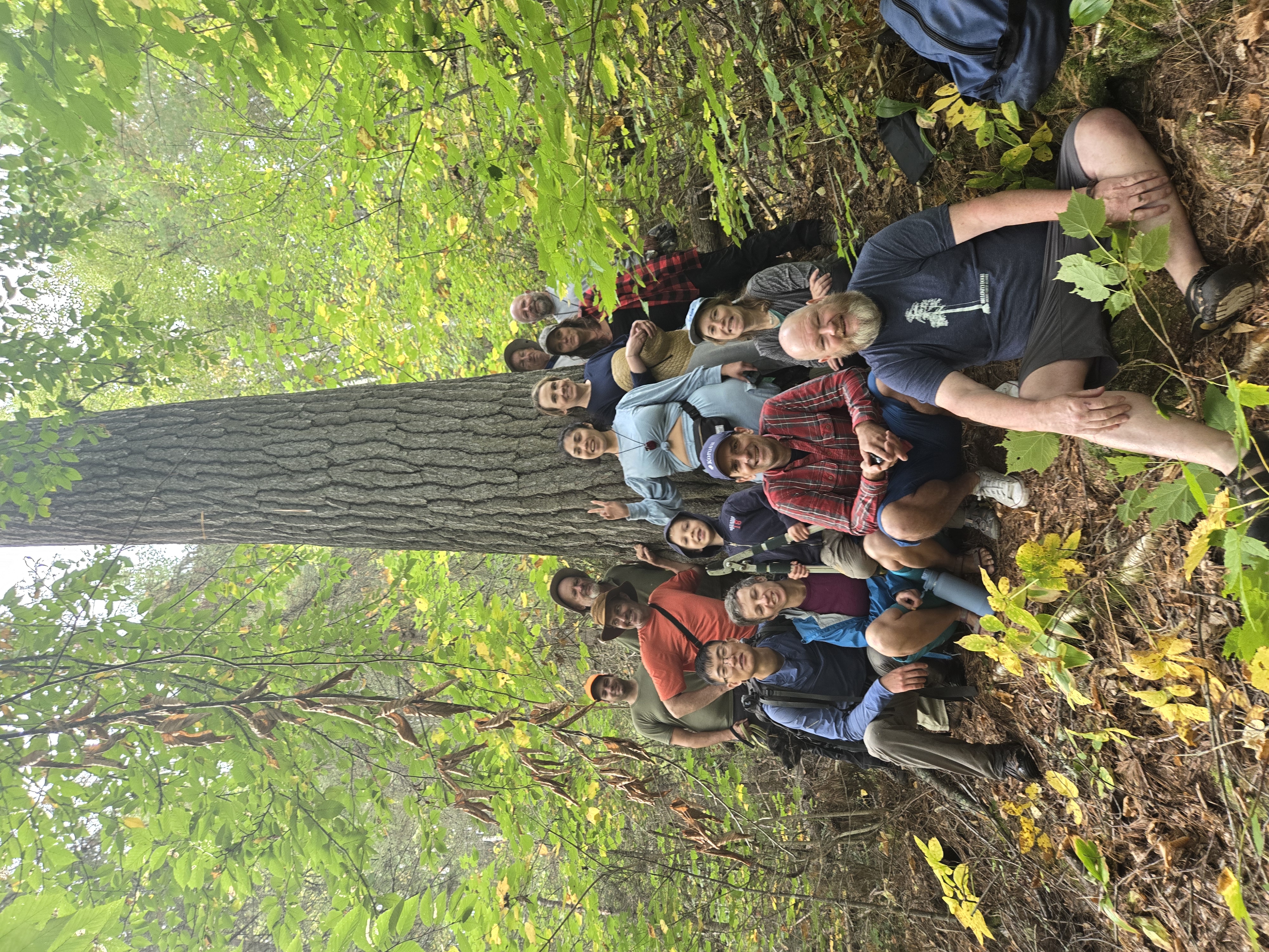 a group of people with an old growth tree. end of image description.