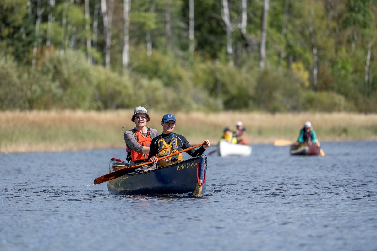 People canoeing in pairs on a river with a forest in the background. end of image description.