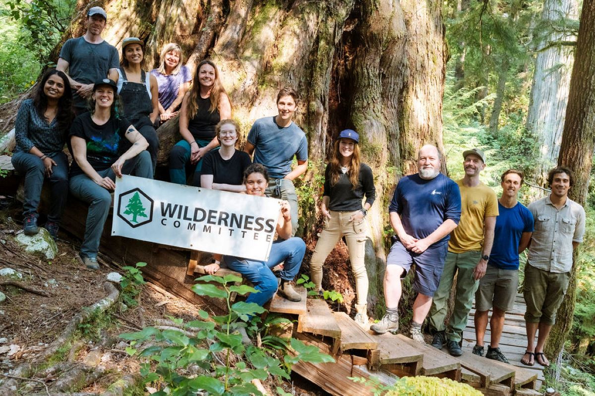 A group of people with an Old-Growth tree and a sign that reads Wilderness Committee