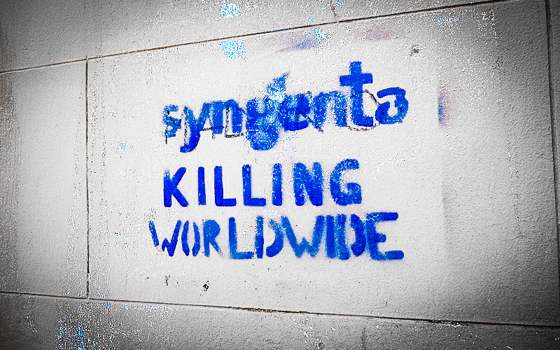 syngenta graffiti