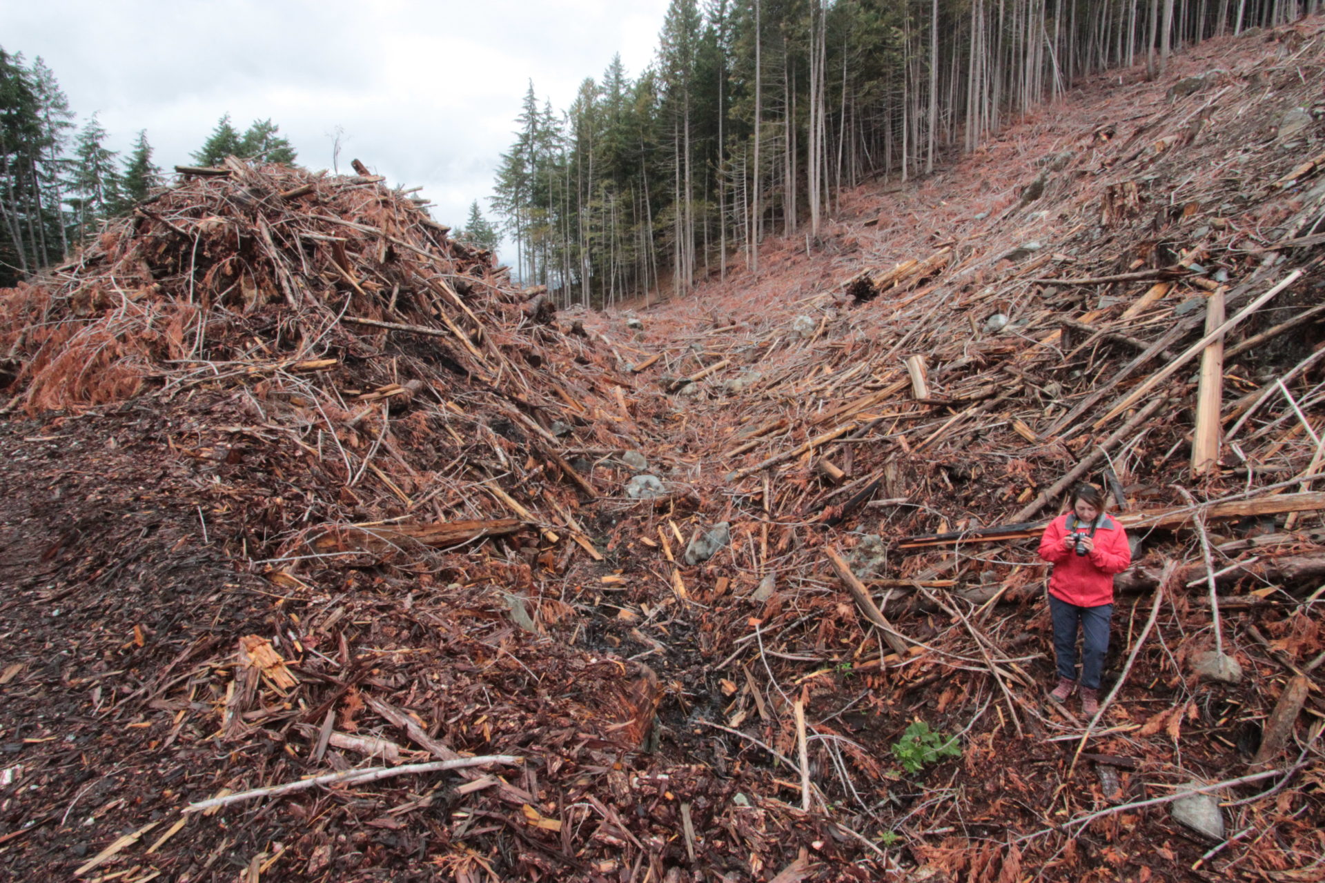 Charlotte Dawe, conservation and policy campaigner with the Wilderness Committee, stands in the Karen Creek clearcut. Photo: Wilderness Committee