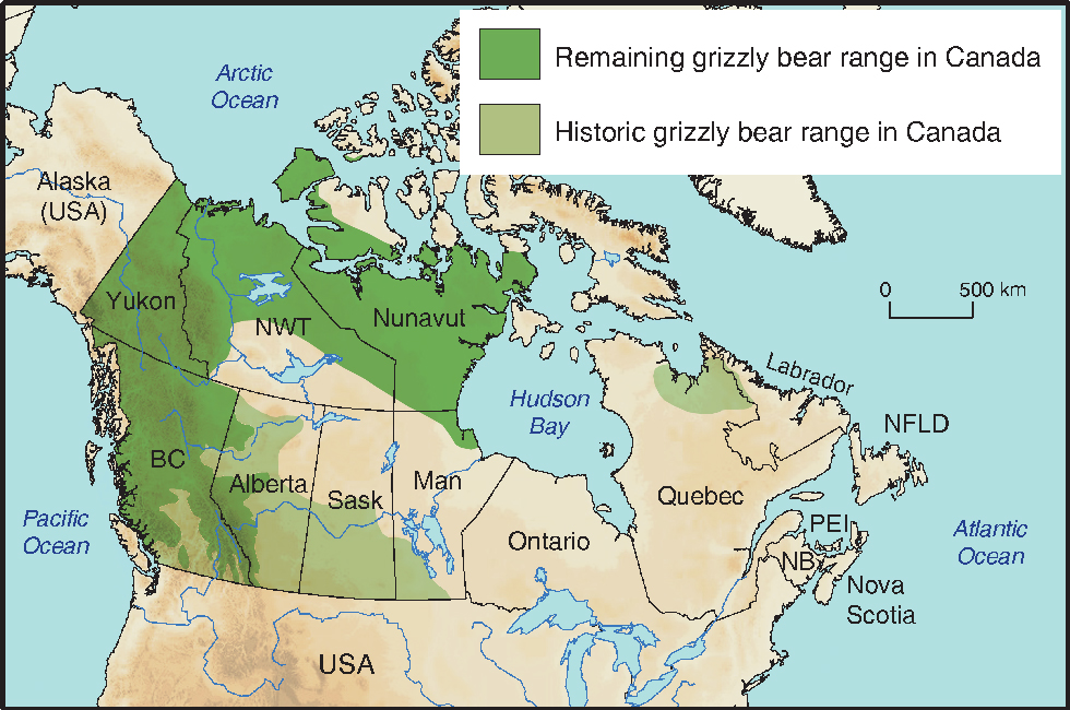 Map of Remaining and Historic Grizzly Bear Range in Canada