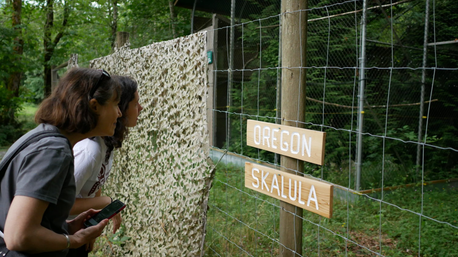 Cox and McCulligh search for spotted owls, Oregon and Skalula, in their quiet aviary. Photo: Carol Linnitt / The Narwhal