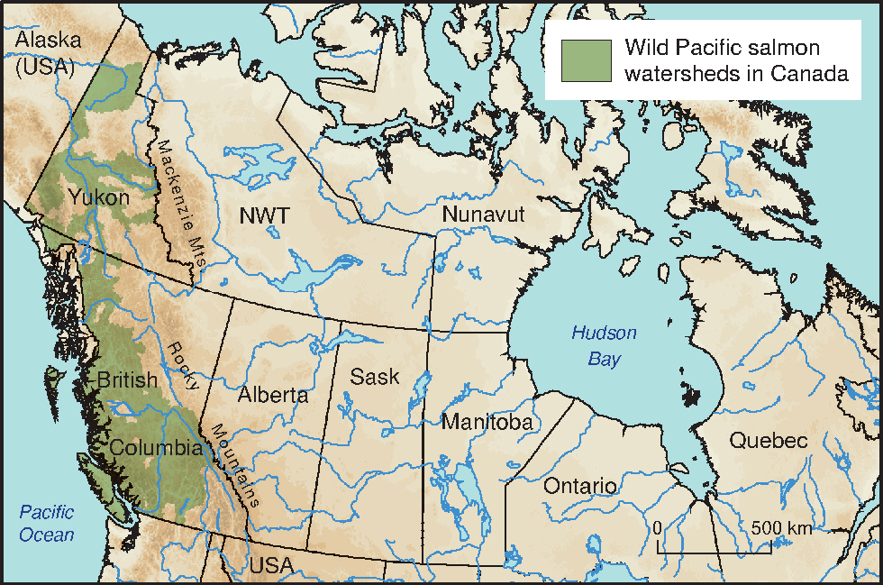 Map of Wild Pacific Salmon Watersheds in Canada