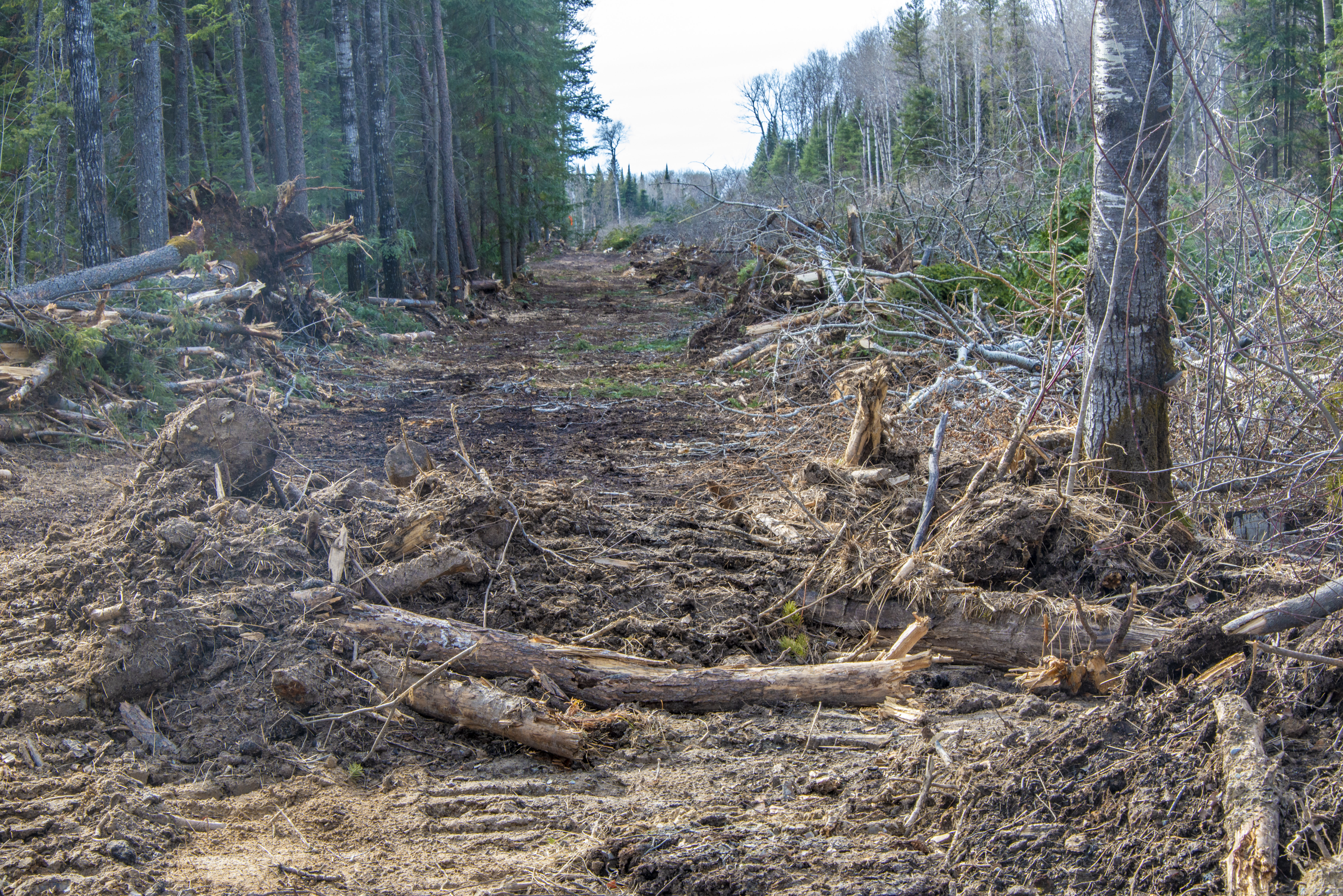 Bulldozing done on Hollow Water First Nation land for the frac sand mine