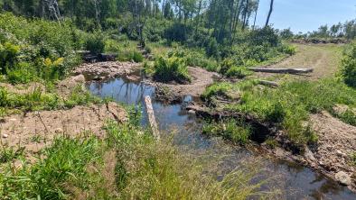 Uninstalled culverts sit beside damaged creek in Duck Mountain Provincial Park