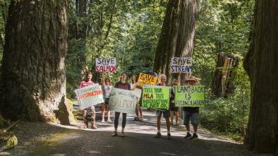 A group of people in an old-growth forest with placards asking to save the goldstream river and salmon in their hands. End of image description.