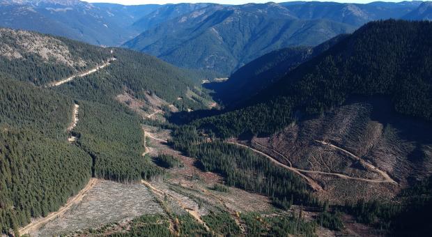 Upper Smitheram Valley in the Donut Hole - Wilderness Committee file photo.