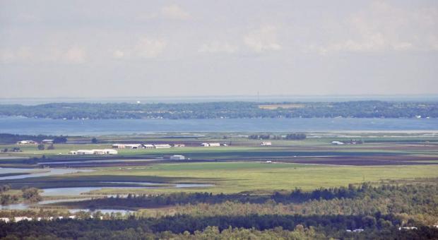 Holland Marsh, one of the wetlands threatened by the Bradford Bypass highway (Photo: Jeff Laidlaw)