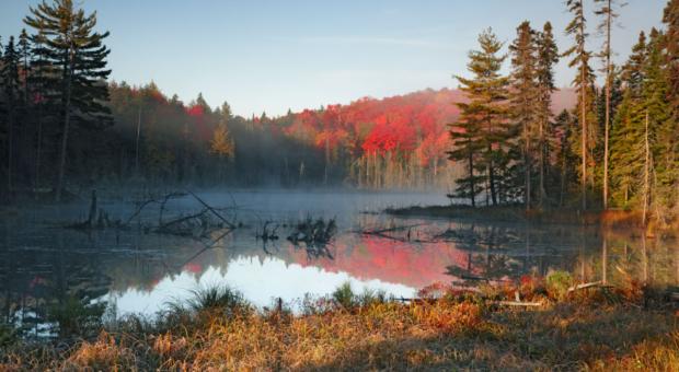 A picture of a lake in fall with trees surrounding it. End of image description.