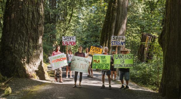 A group of people in an old-growth forest with placards asking to save the goldstream river and salmon in their hands. End of image description.