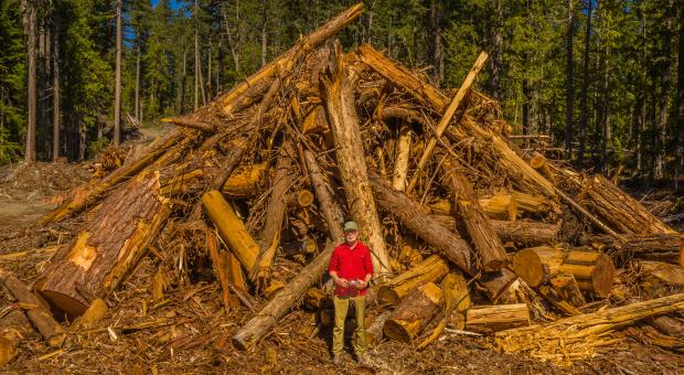 Joe Foy and logged Spotted Owl Critical Habitat. end of image description.