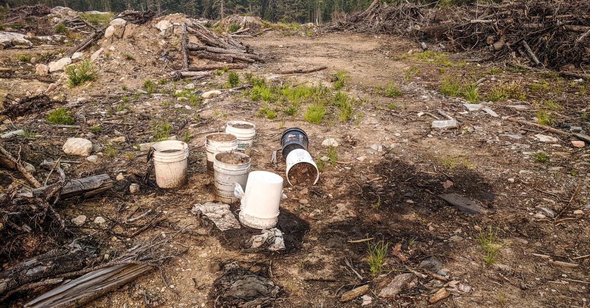 Provincial park destruction discovered by Wilderness Committee ...