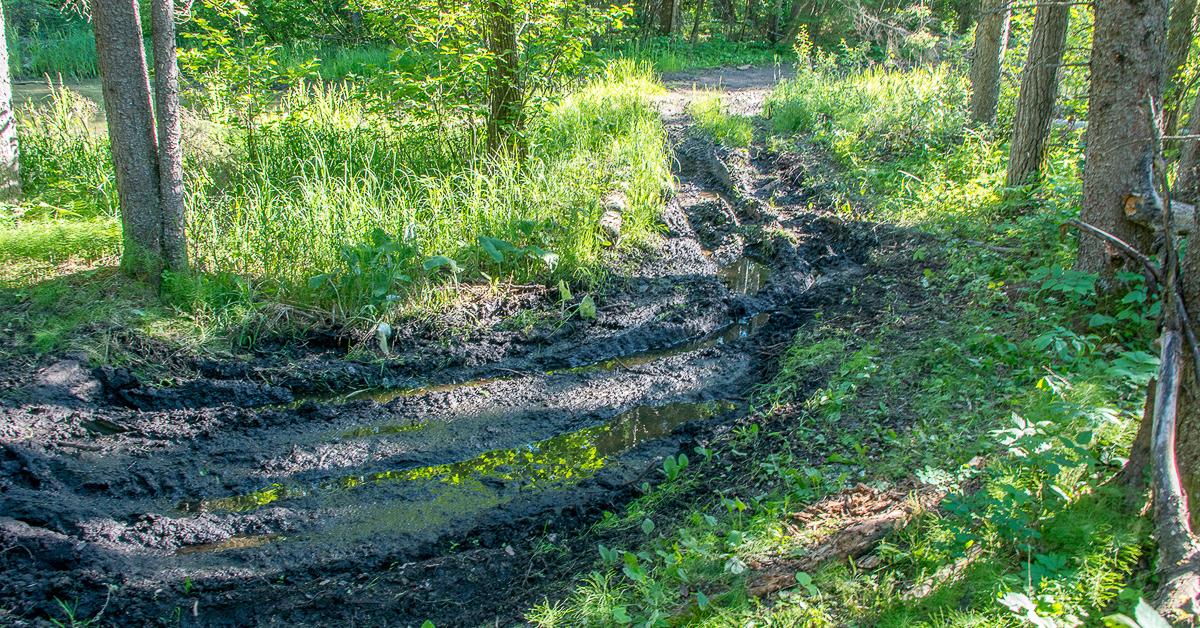 ganaraska forest dirt bike trail map