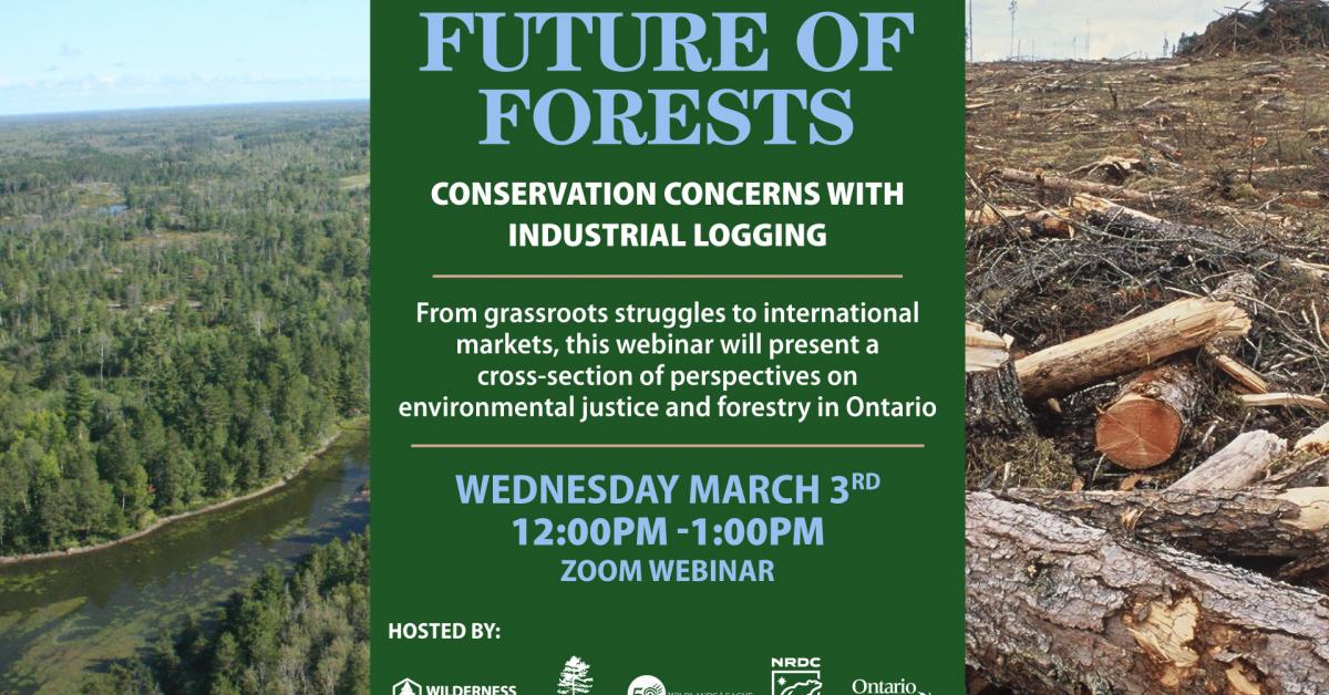 Webinar: The Future of Forests  Wilderness Committee